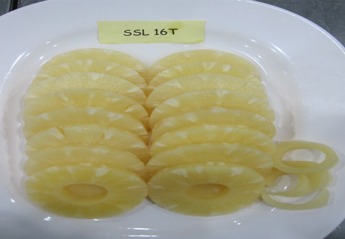pineapple slices 2