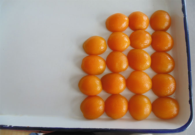 canned apricot