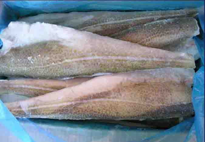 A cod fillet