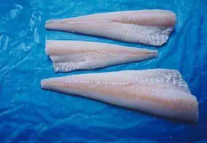 A cod fillet skinless