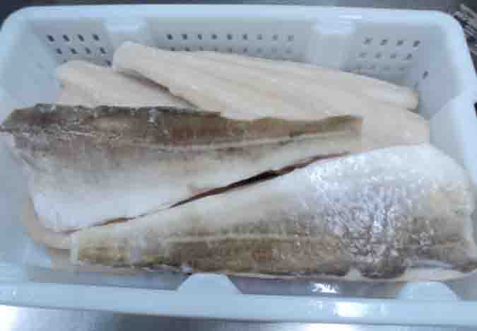 atlantic cod fillet