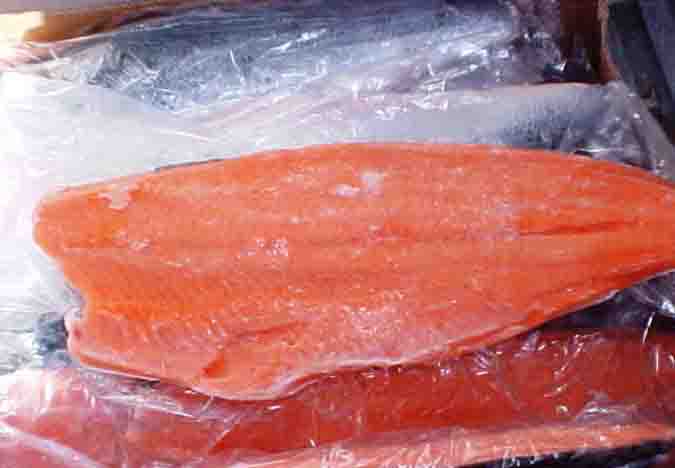 chum salmon fillet
