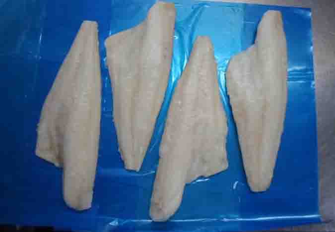 Haddock fillet