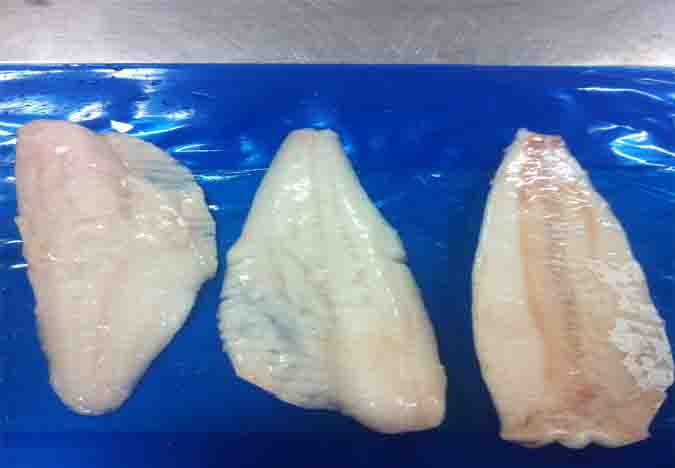 local P cod fillet