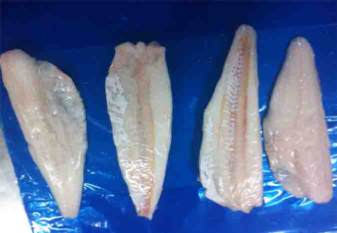 local pacific cod fillet