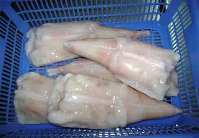 monkfish tail
